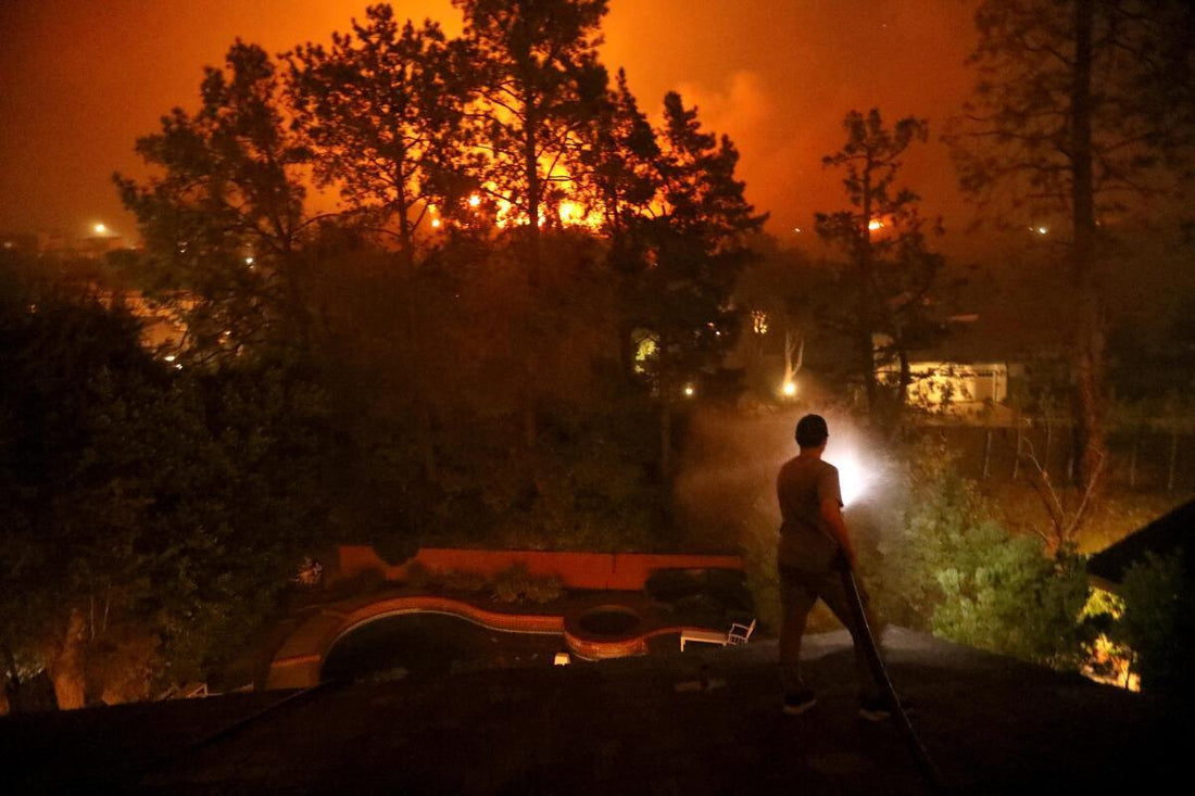 The Los Angeles Times documented a mother and son preparing to wet down their home using pool water as the Palisades Fire approached.