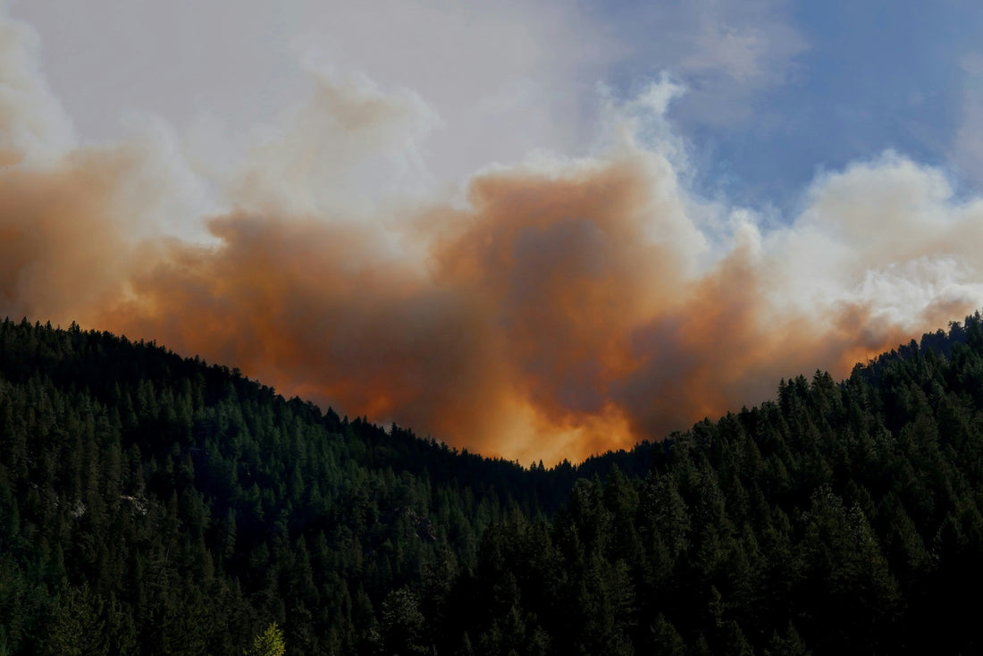 One Year After the 2025 LA Wildfires: The Fire Defense Lessons Homeowners Can’t Ignore. A picture showing the 2025 LA wildfires starting in the forest.
